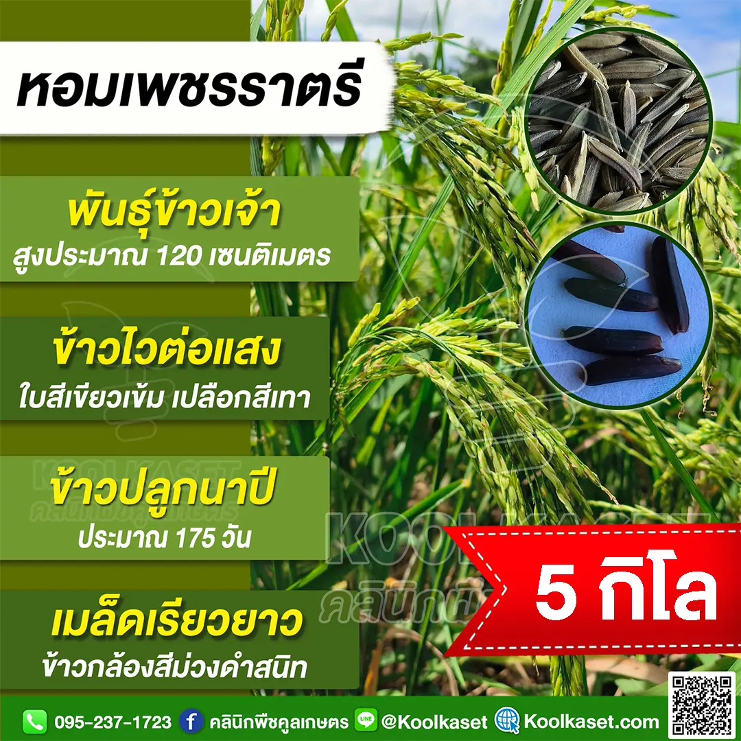 5 กก