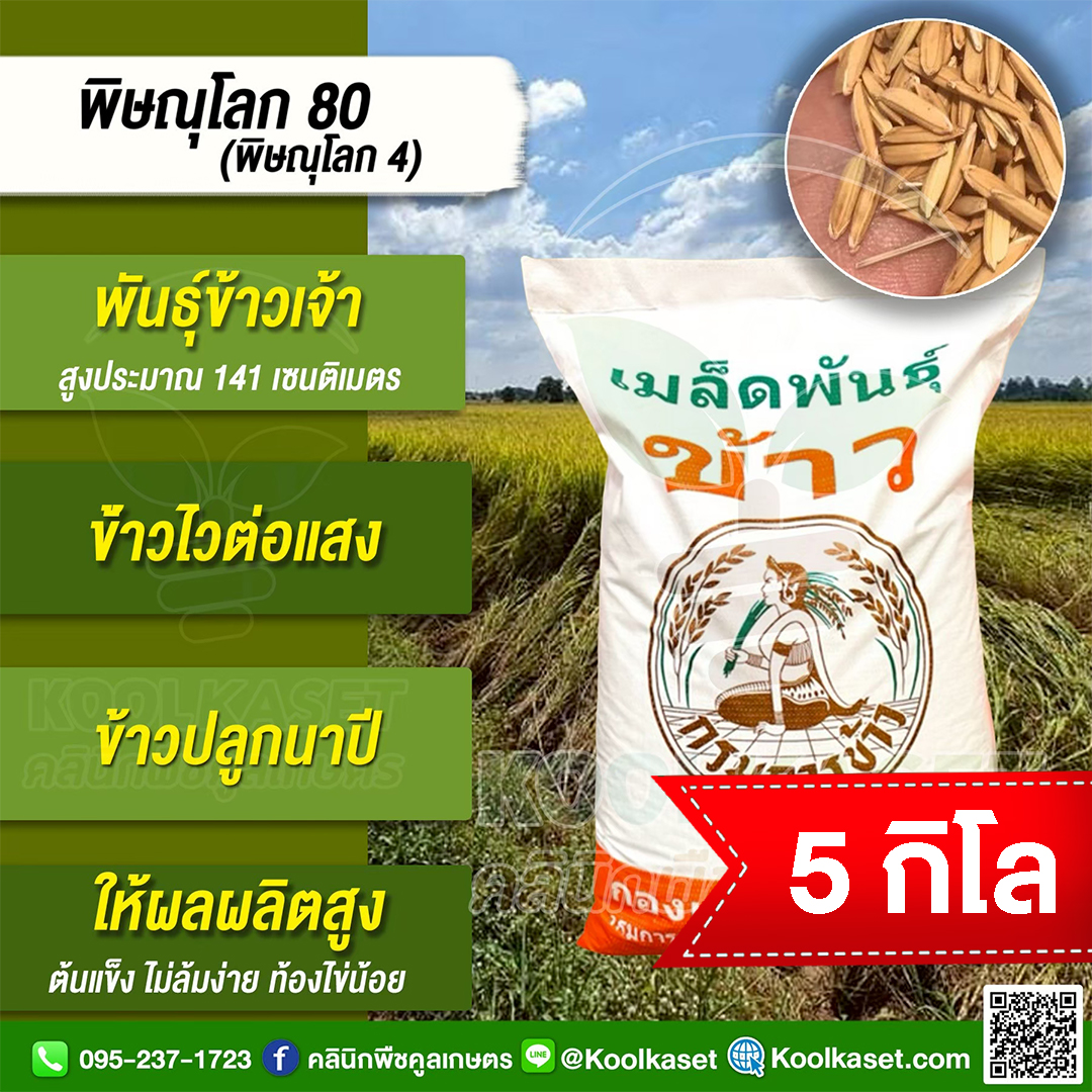 5 กก