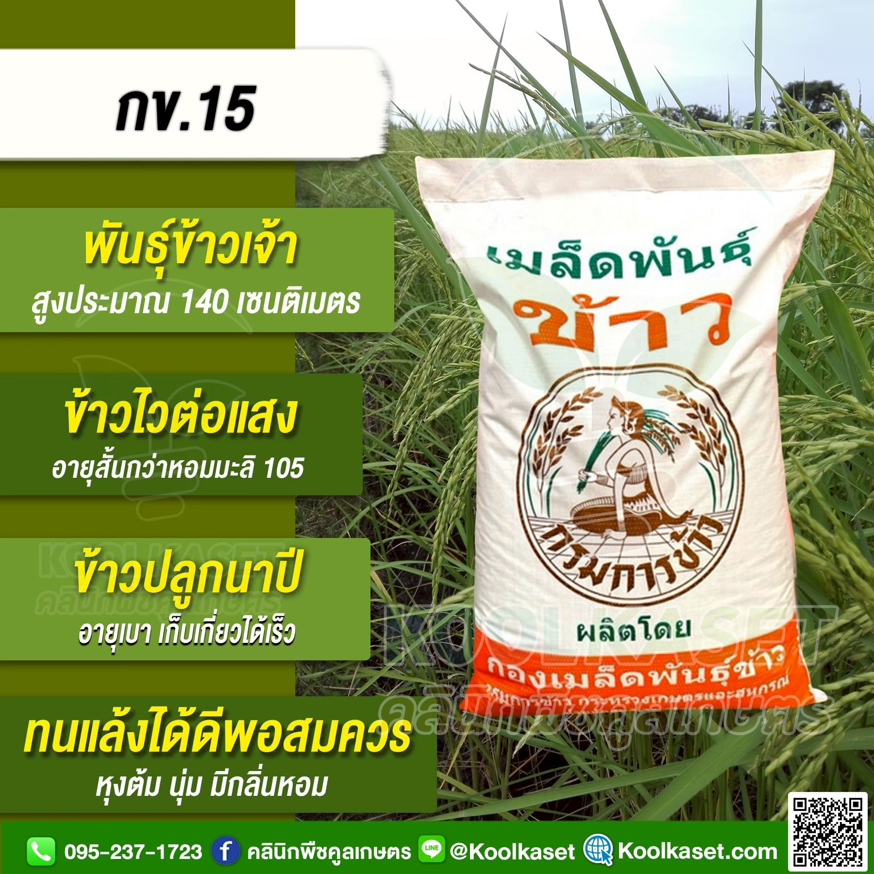 กข.15 กรม