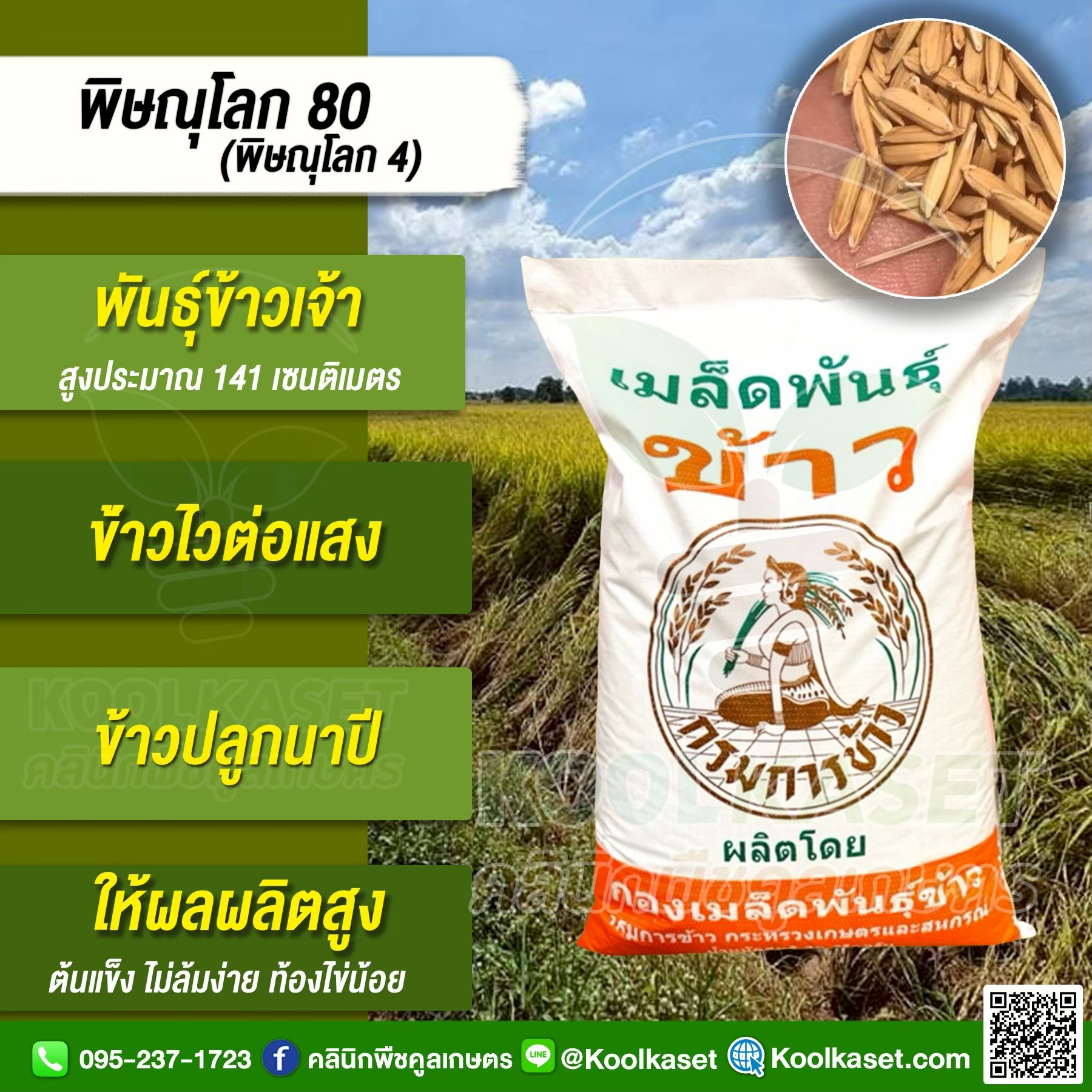 พิาณุโลก80