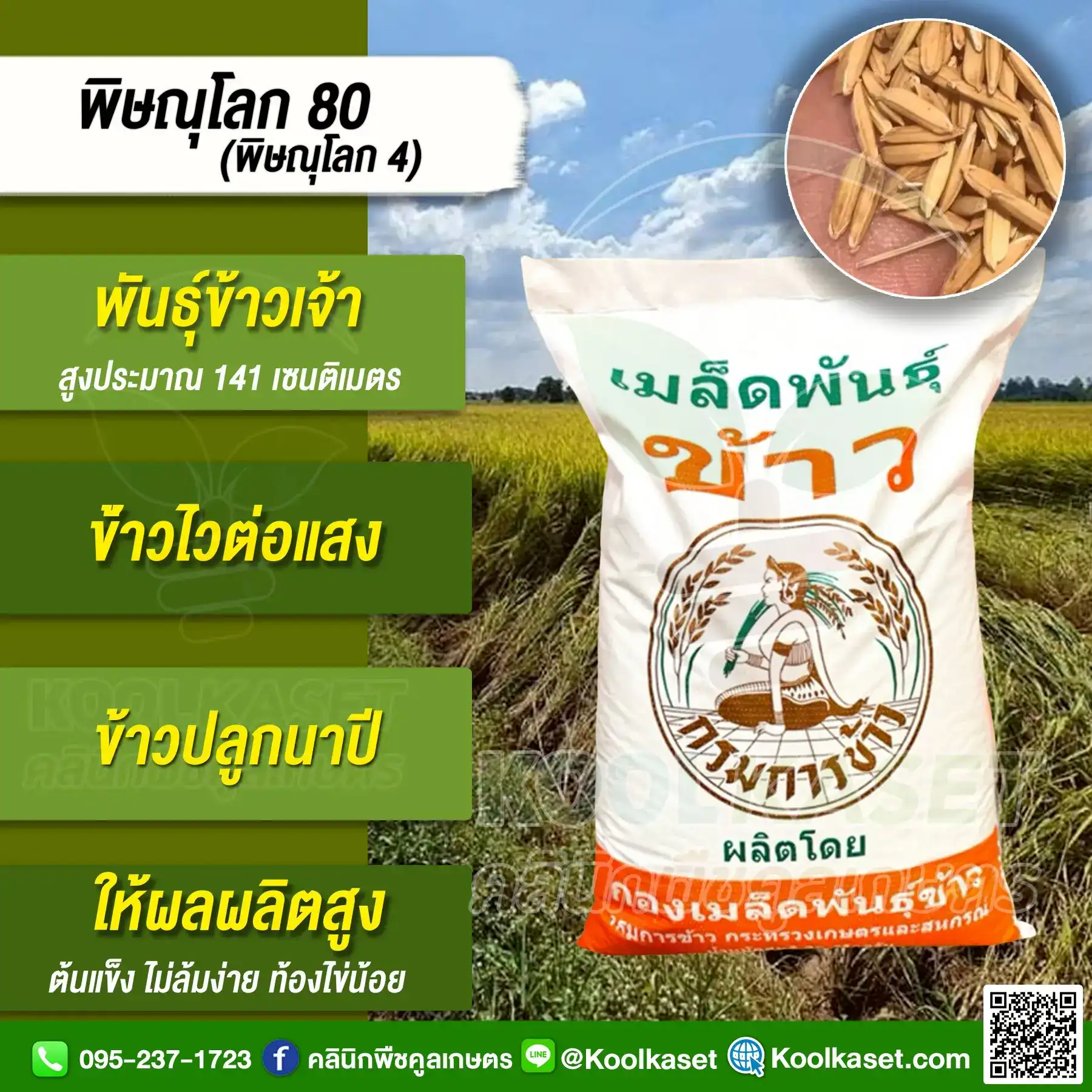 พิาณุโลก80