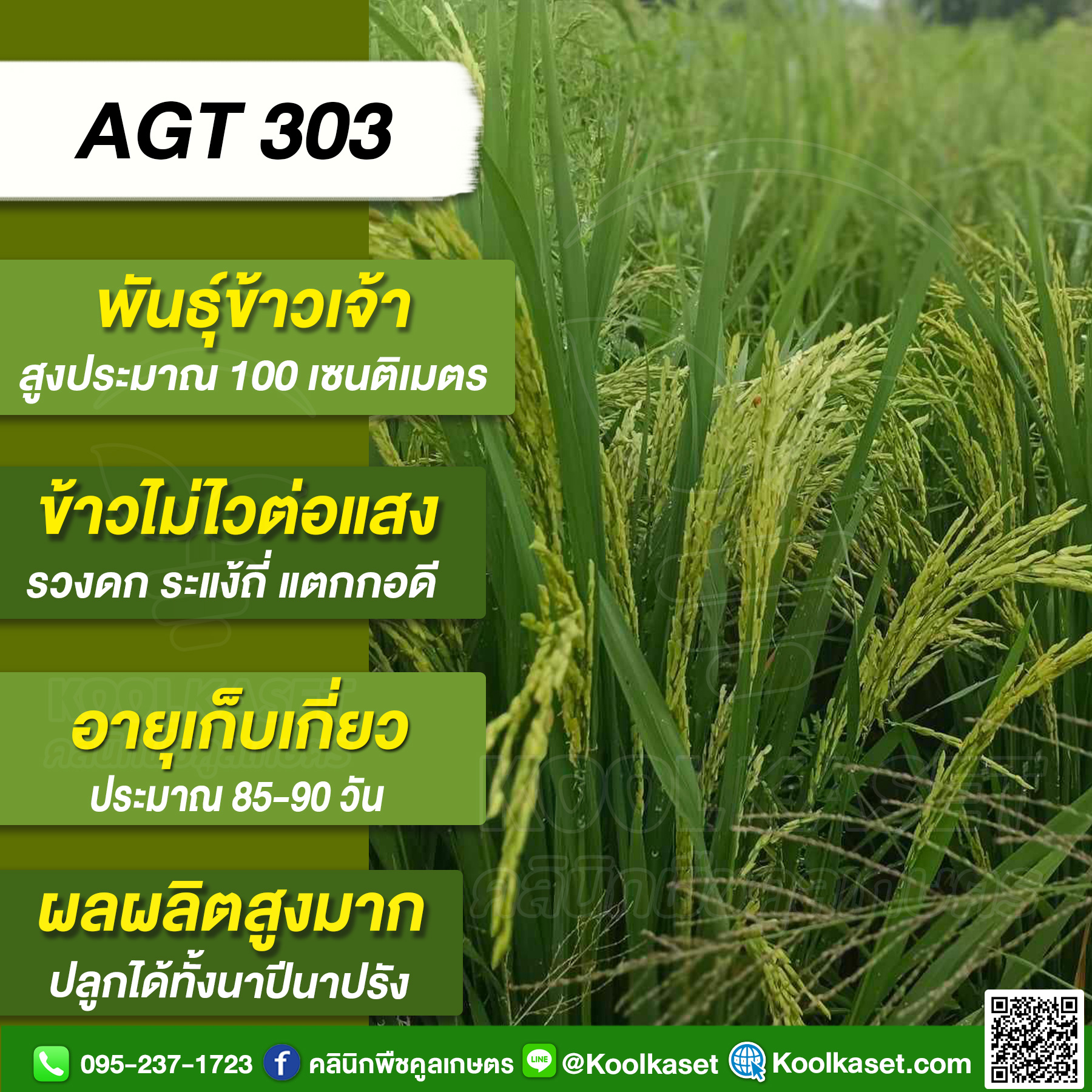303 AGT JPG80