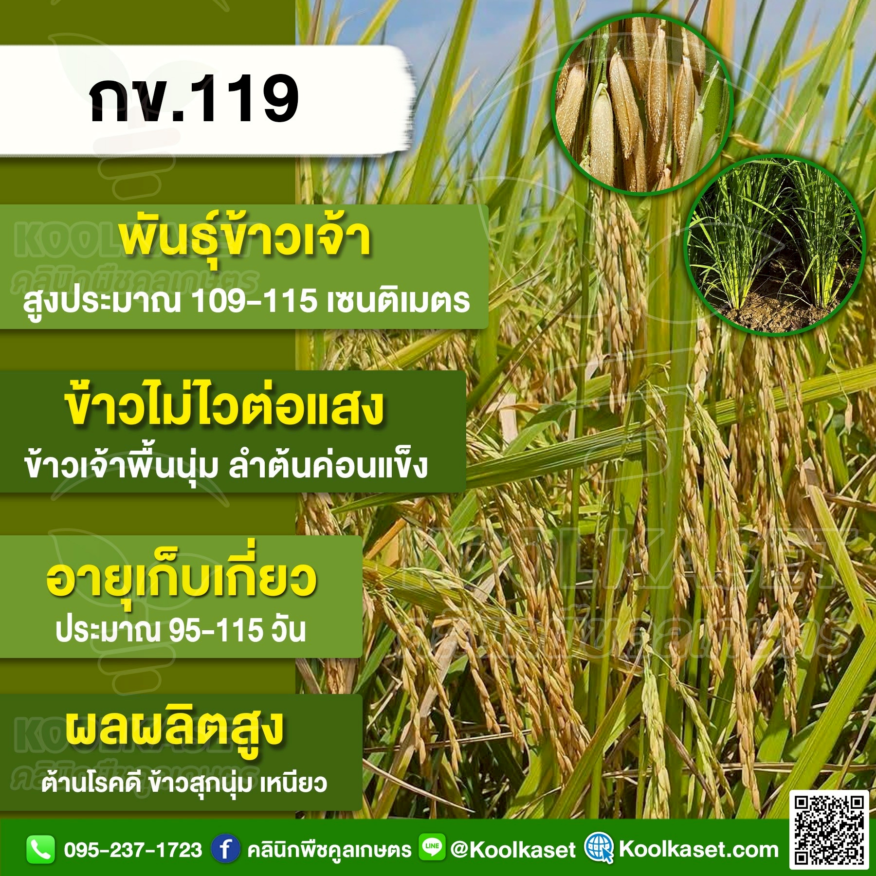 กข.119