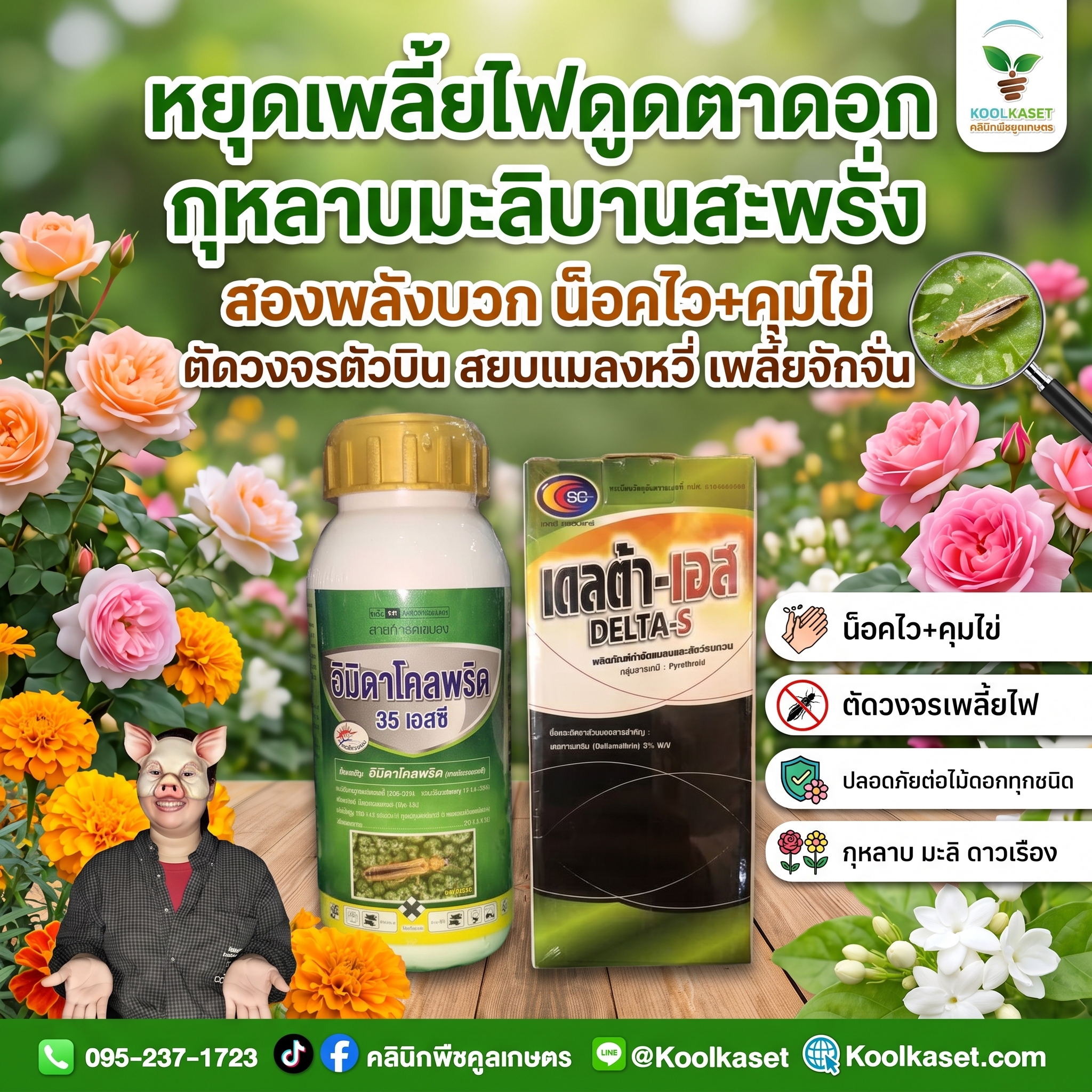 กลาง อิมิดา + เดลต้า เอส 500 ซีซ เพลี้ยไฟ