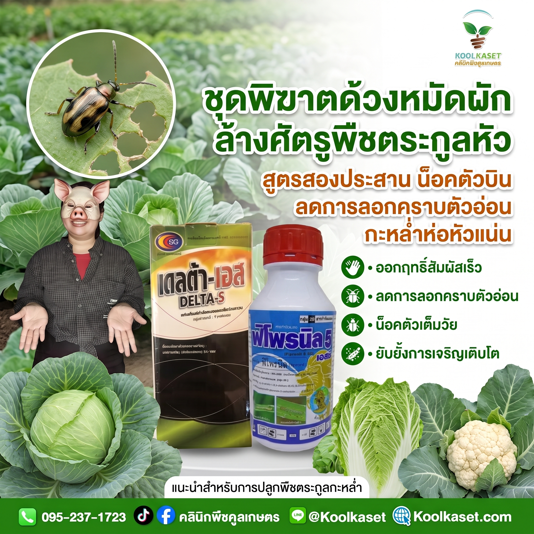 ชุดกลาง - ชุดพิฆาตด้วงหมัดผัก ล้างศัตรูพืชตระกูลหัว -JPG
