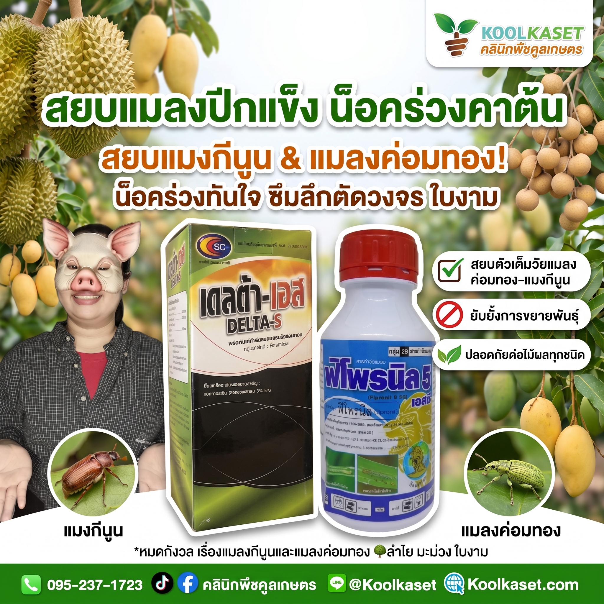 ชุดกลาง - สยบแมลงปีกแข็ง น็อคร่วงคาต้น - JPG