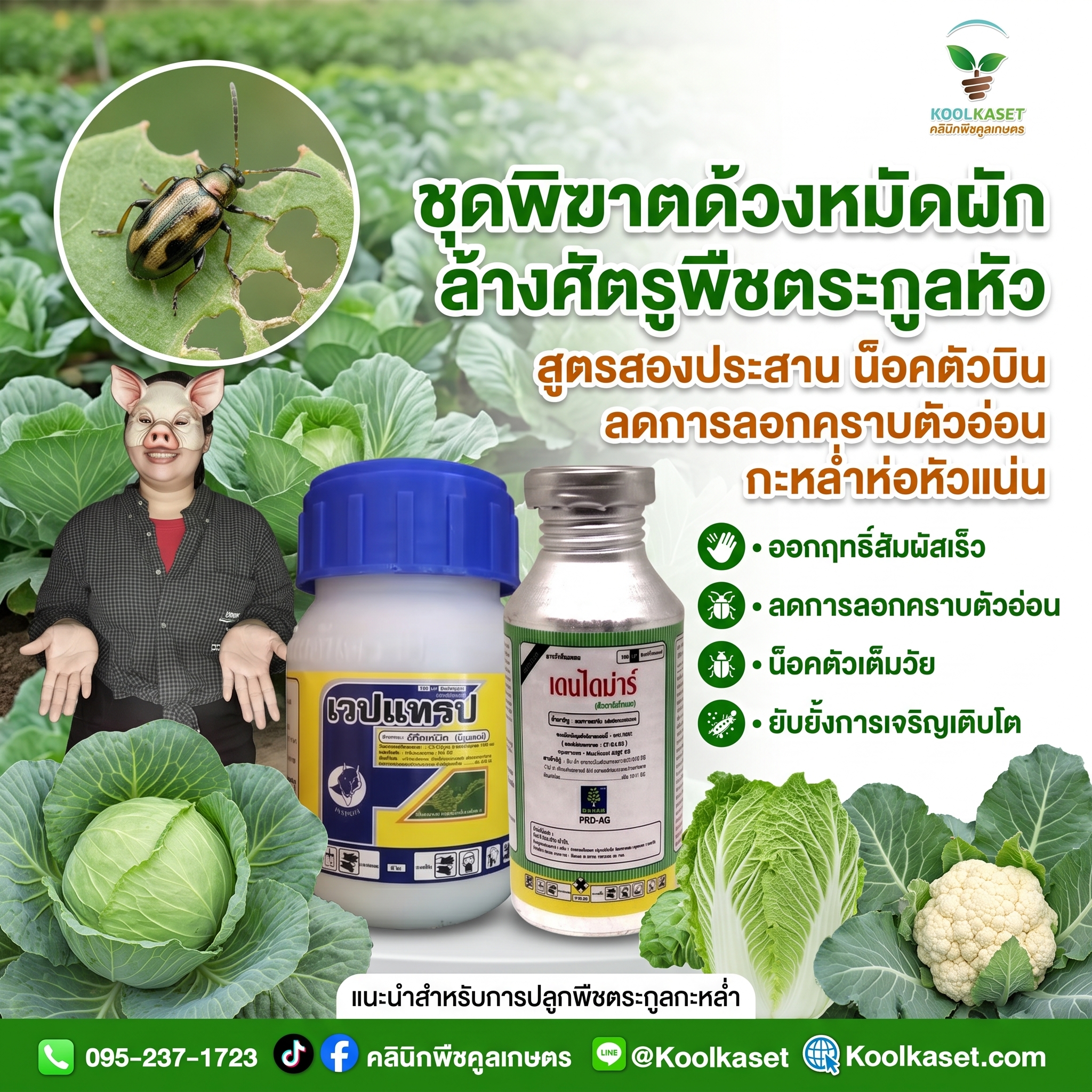 ชุดทดลอง - ชุดพิฆาตด้วงหมัดผัก ล้างศัตรูพืชตระกูลหัว -JPG