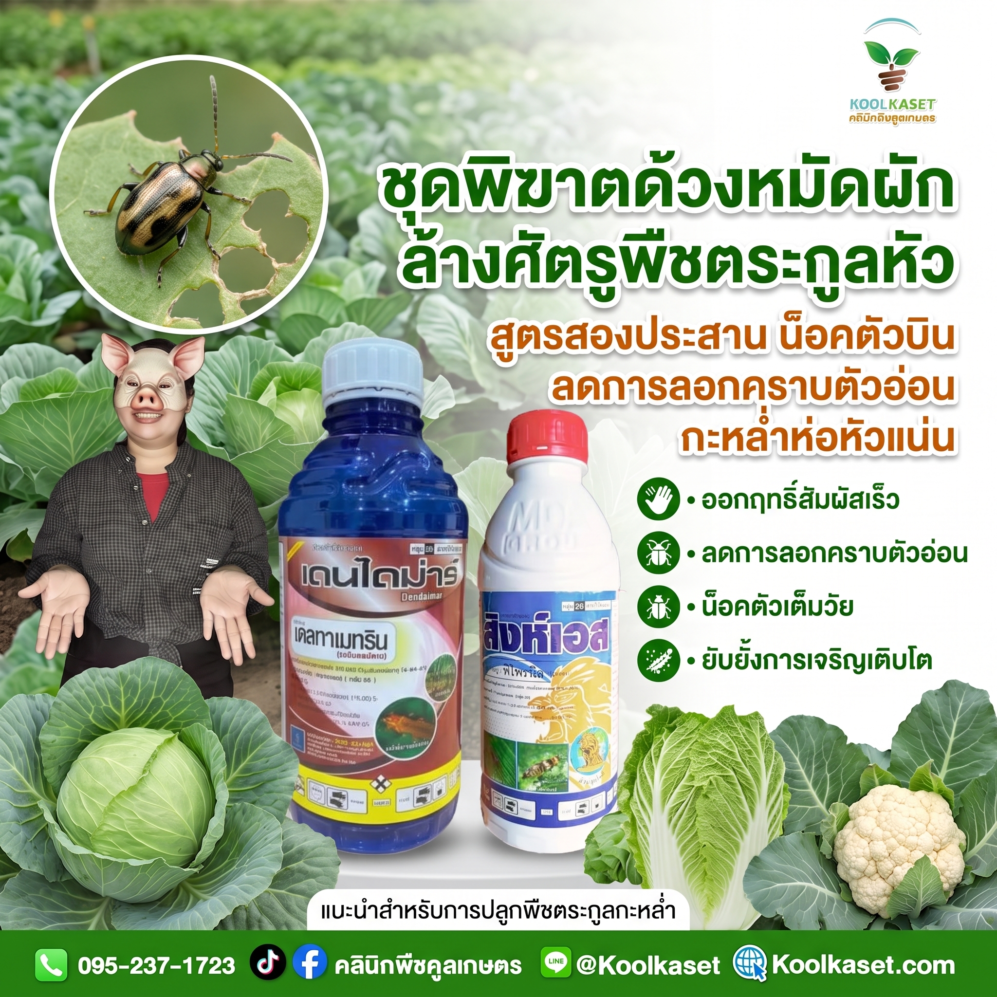 ชุดใหญ่ - ชุดพิฆาตด้วงหมัดผัก ล้างศัตรูพืชตระกูลหัว -JPG