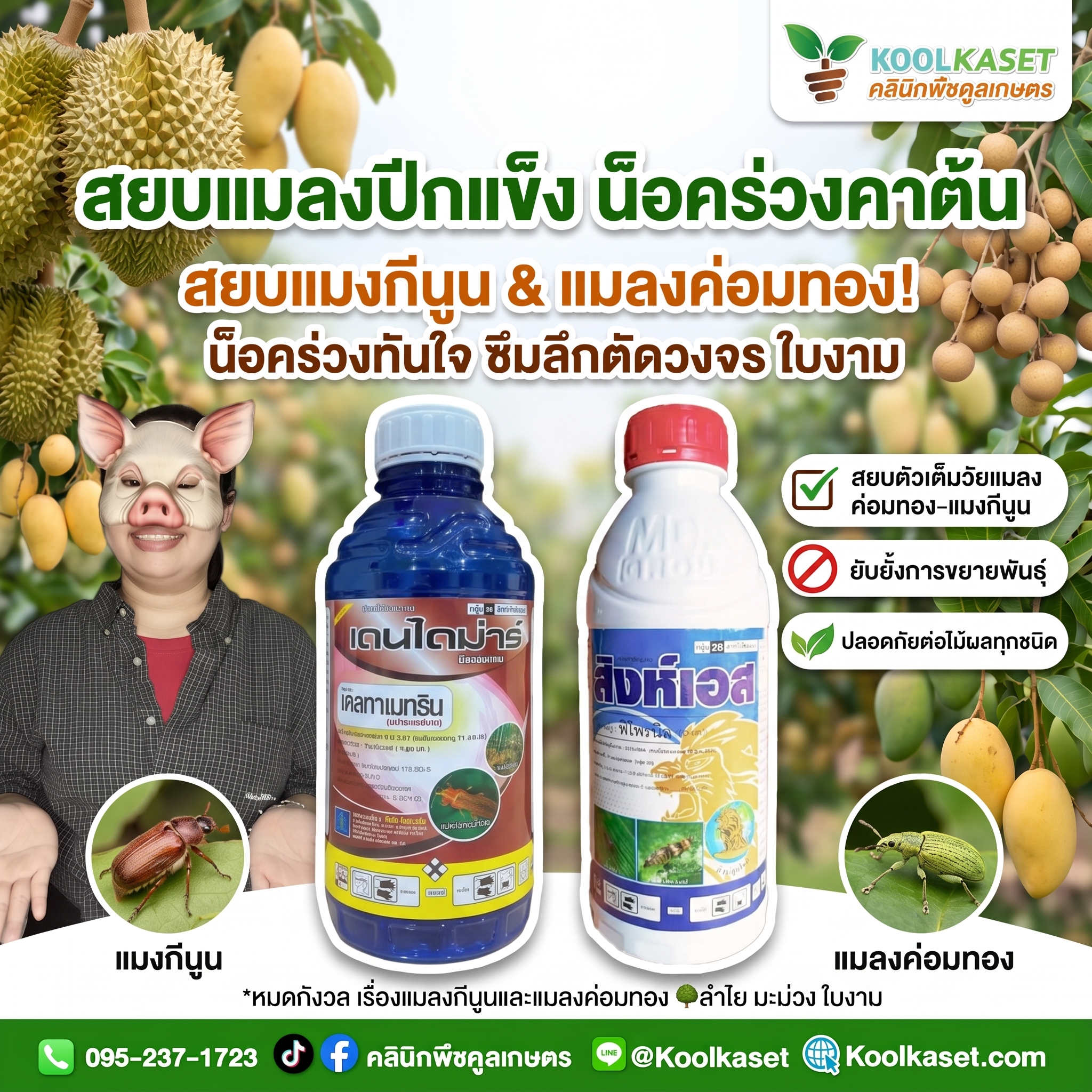 ชุดใหญ่ - สยบแมลงปีกแข็ง น็อคร่วงคาต้น - JPG