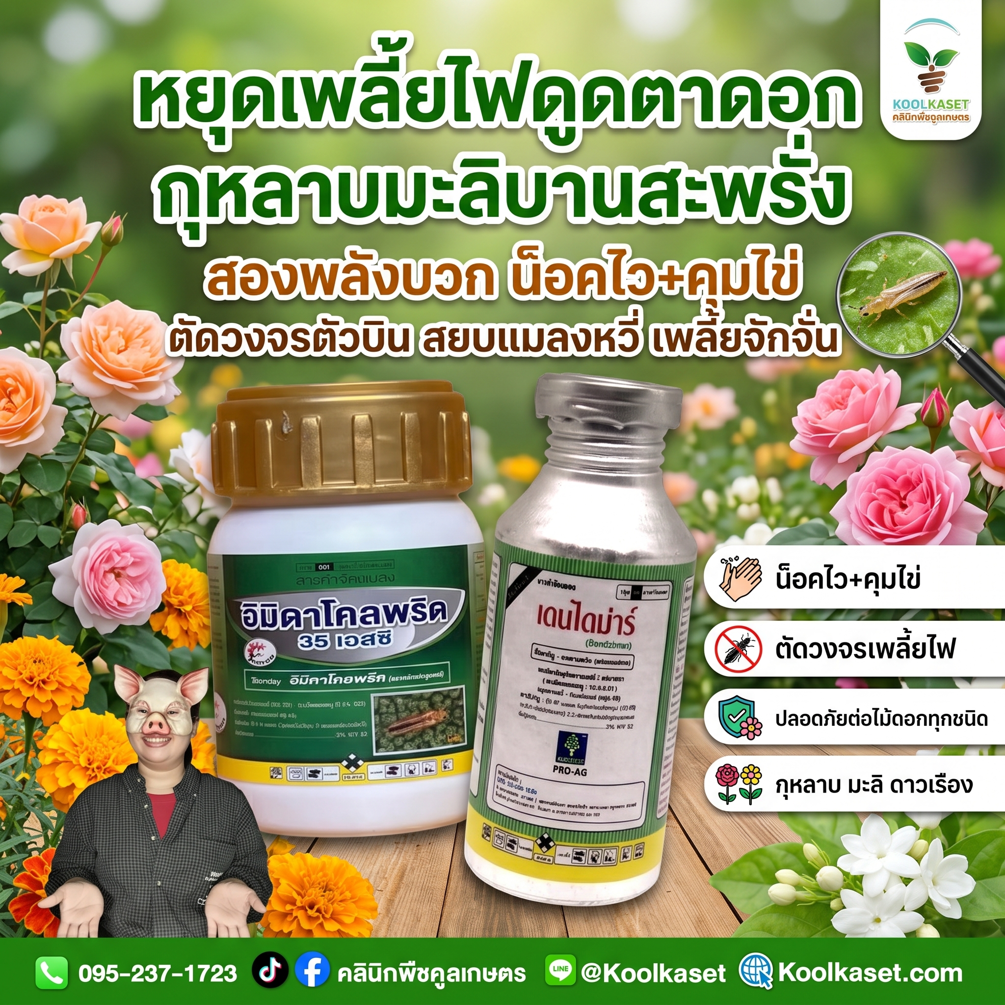 เล็ก อิมิดา + เดนไดม่าร 100 ซีซี เพลี้ยไฟ