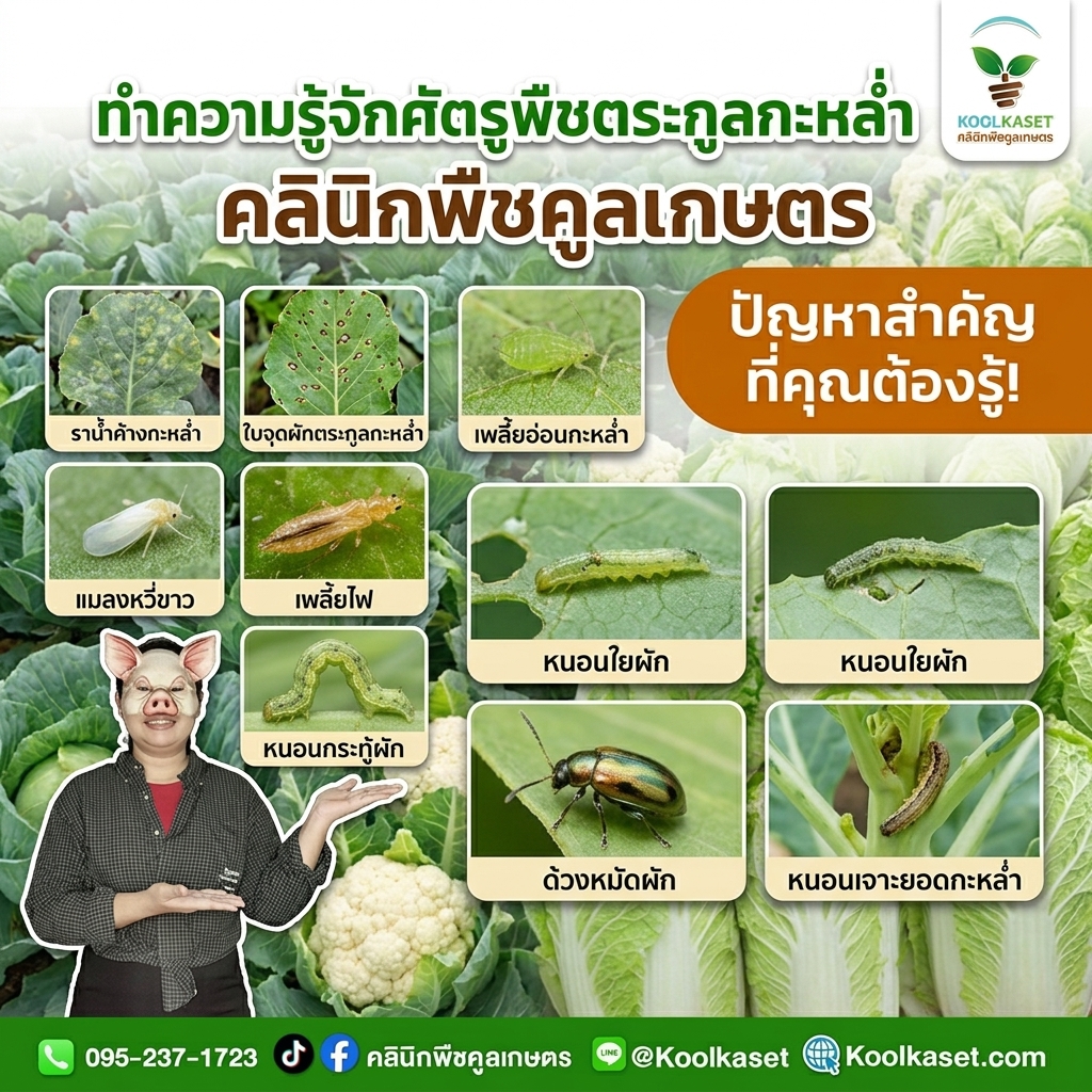 Combine_pest_and_plant_images_202608101545
