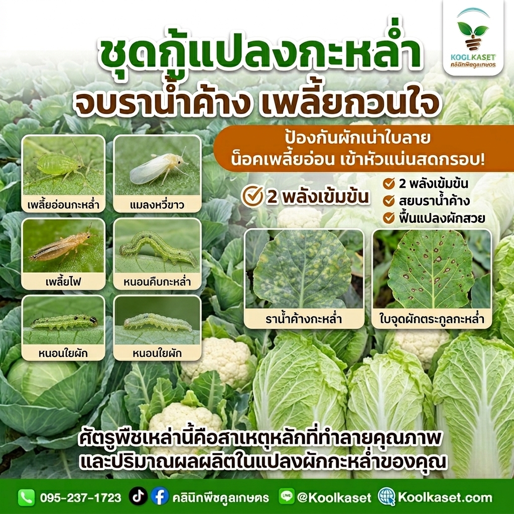 Combining_pest_and_plant_images_202608101543