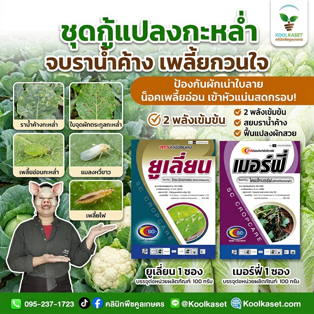 Creating_promotional_image_for_p…_202608101530