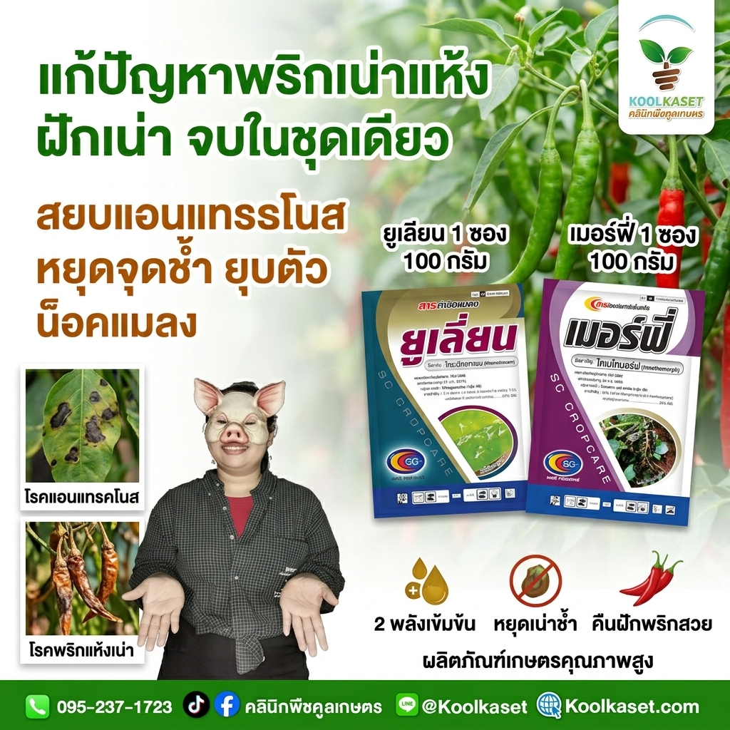 Creating_promotional_image_for_p…_202608101600