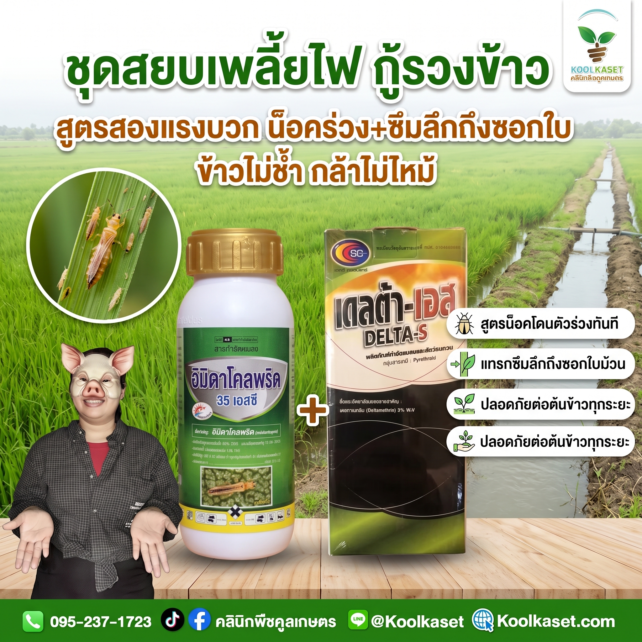 กลาง ข้าว