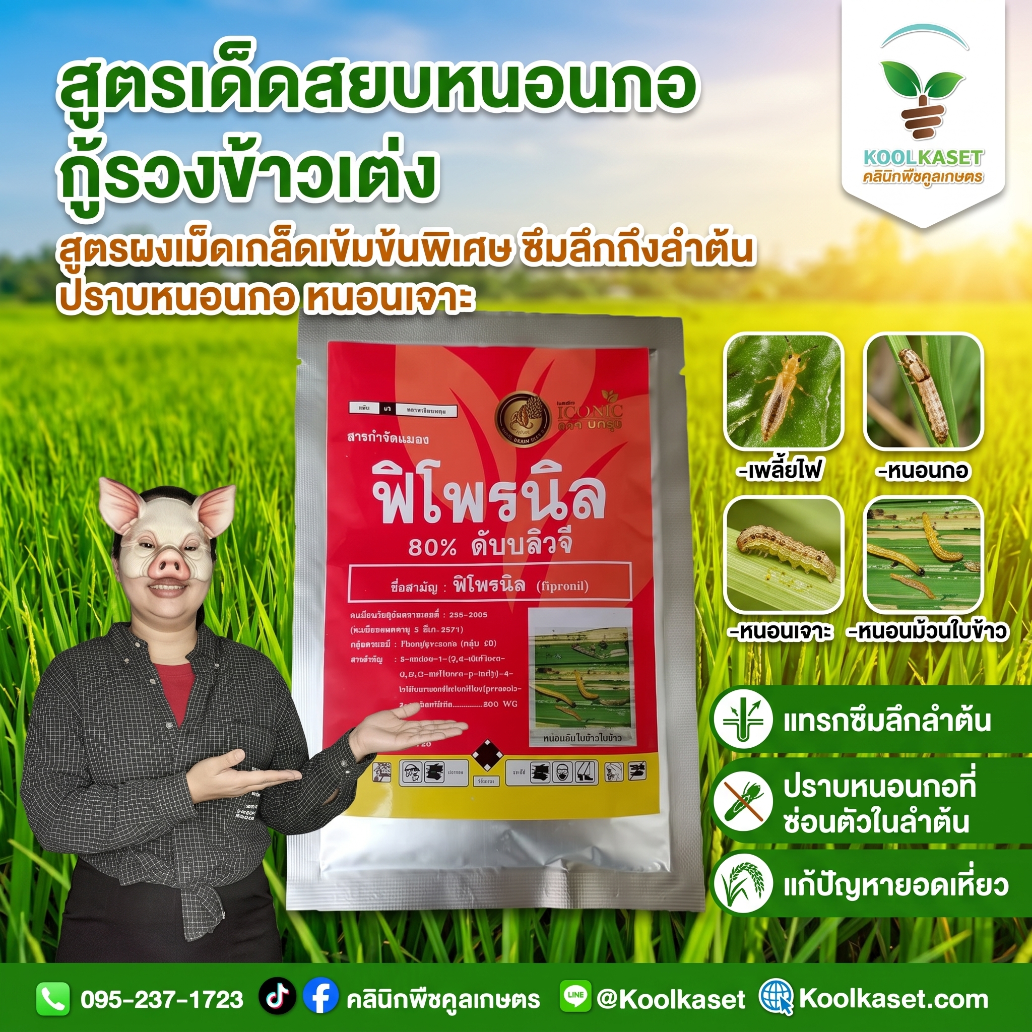เล็ก นาข้าว(1)